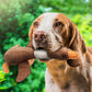 Gros plan sur la texture robuste du jouet pour chien