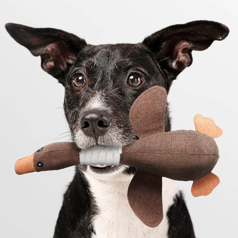 Vue latérale du jouet indestructible pour chien, montrant sa solidité