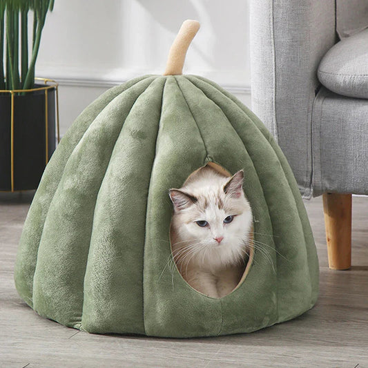 Ensemble du lit citrouille pour chat, prêt à l'emploi