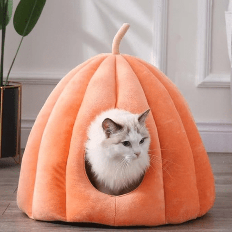 Lit pour chat en forme de citrouille, vue de face
