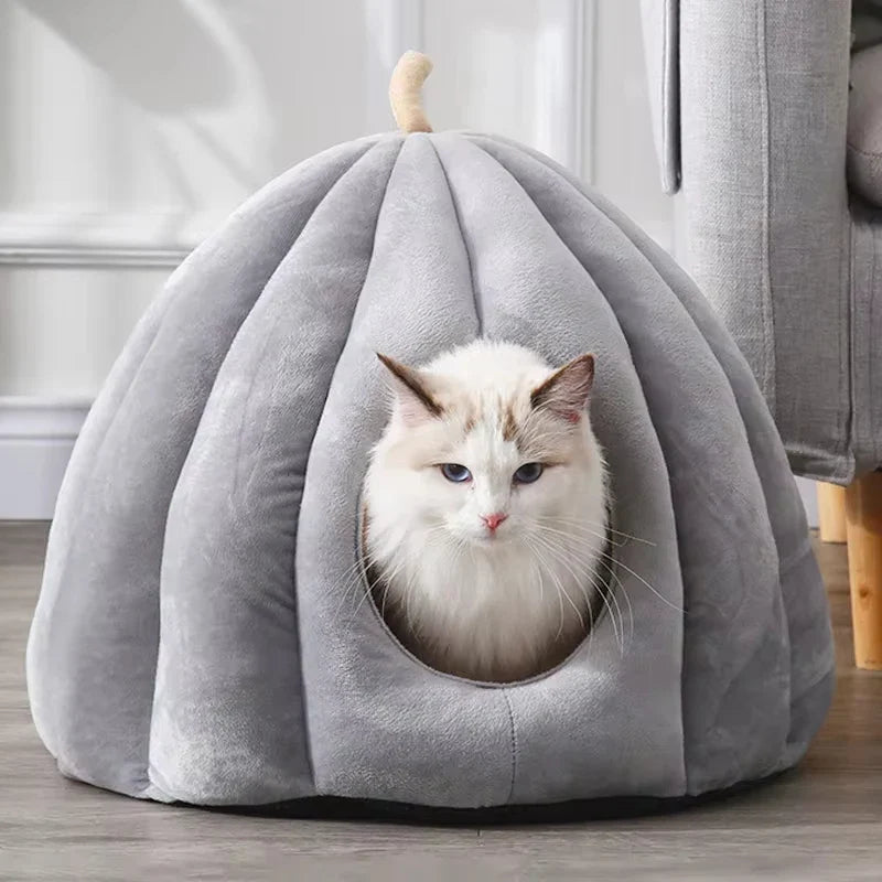 Intérieur doux et confortable du lit pour chat citrouille