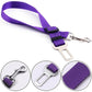 Ceinture de sécurité pour chien avec fermeture rotative