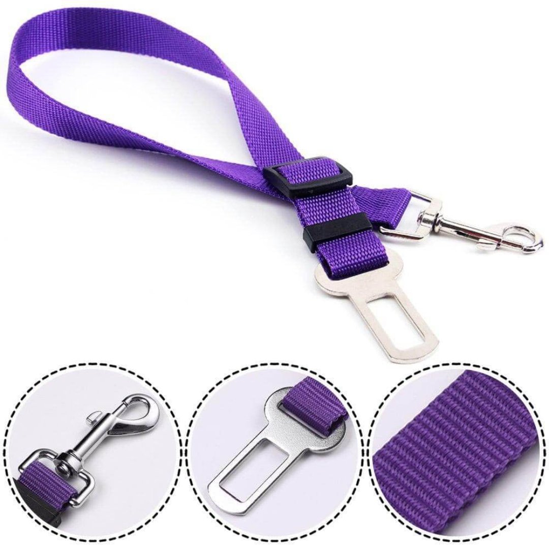 Ceinture de sécurité pour chien avec fermeture rotative