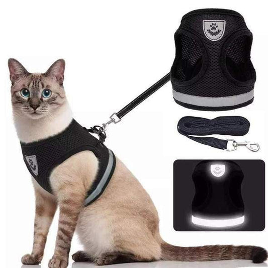 Chat explorant la nuit avec un harnais réfléchissant sécurisé