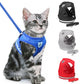 Chat portant un harnais ajustable en extérieur la nuit