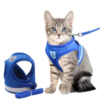 Détail des fermetures ajustables du harnais pour chat