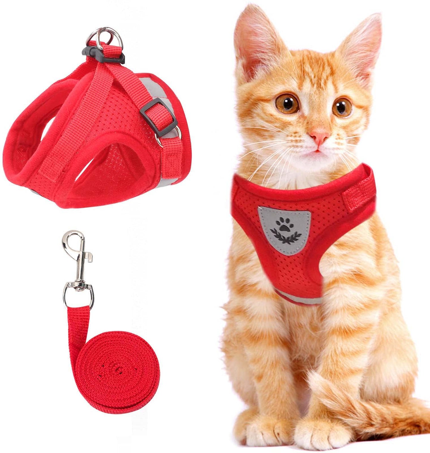 Vue latérale du harnais réfléchissant sur un chat en promenade