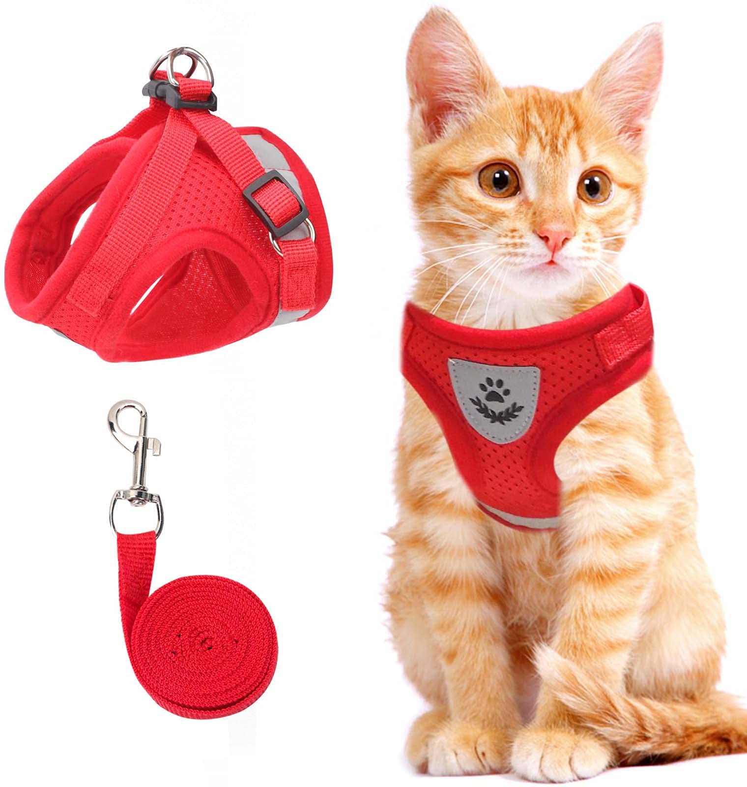 Vue latérale du harnais réfléchissant sur un chat en promenade