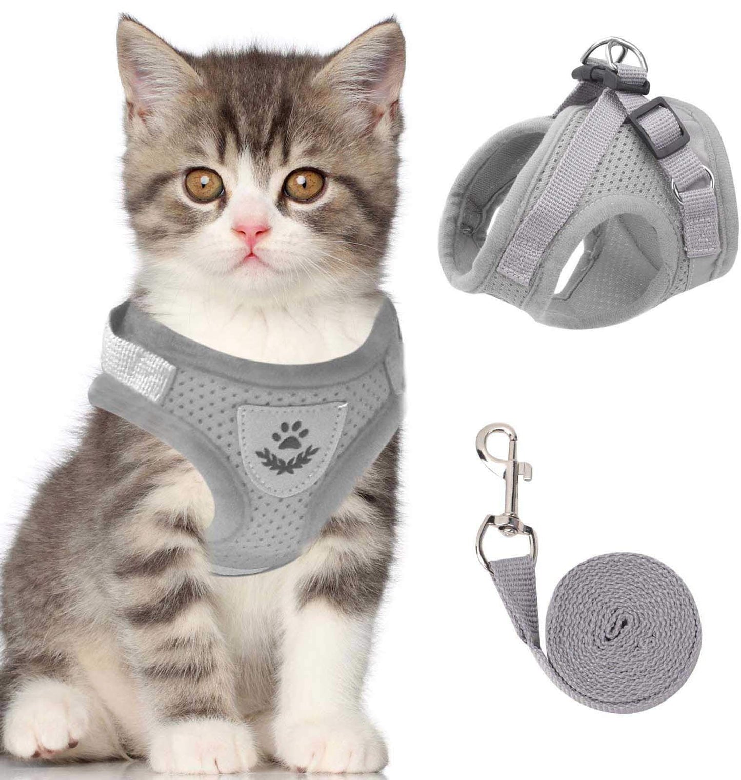 Harnais et laisse pour chat posés sur une surface claire