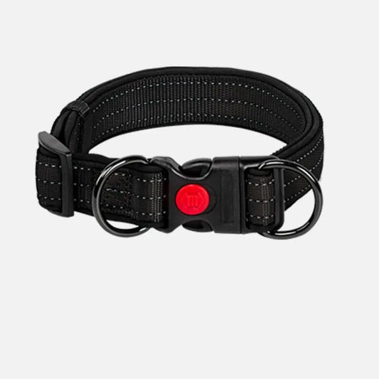 Collier de chien ajustable avec visibilité améliorée dans l'obscurité