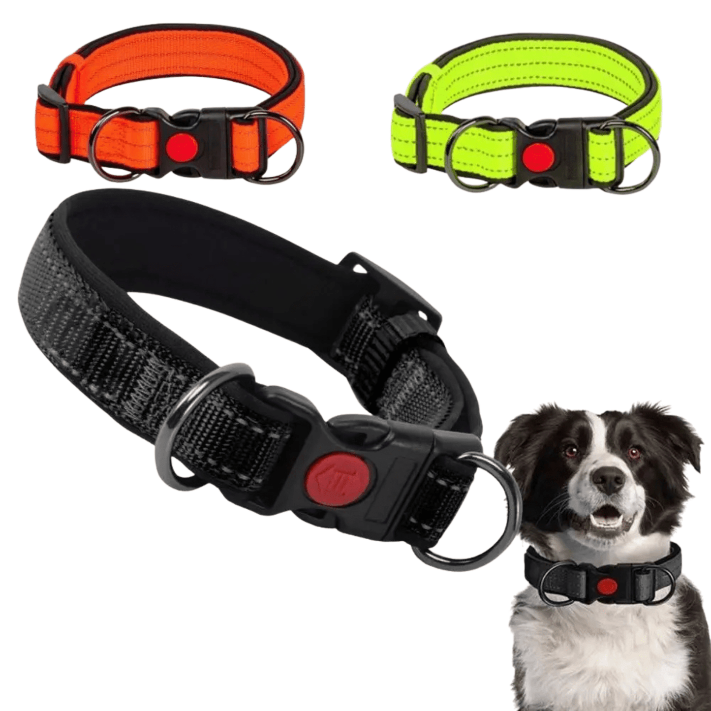 Collier réfléchissant pour chien avec rembourrage néoprène doux