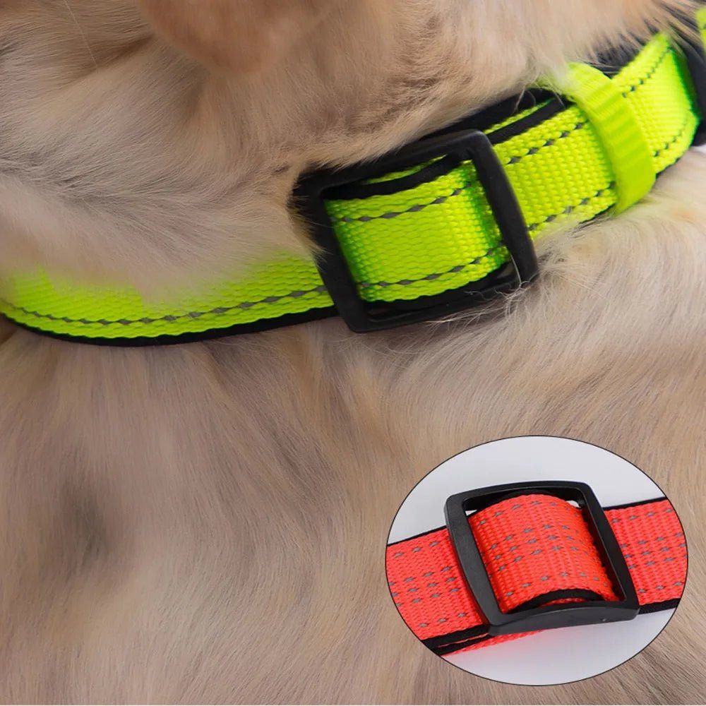 Vue rapprochée du collier en nylon avec coutures réfléchissantes
