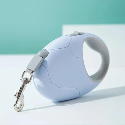 Laisse rétractable enroulée, prête pour une promenade
