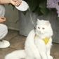 Laisse rétractable en nylon avec poignée ergonomique pour animaux