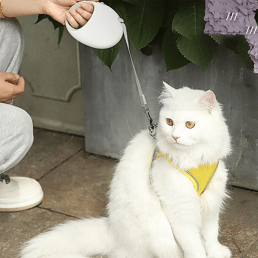 Laisse rétractable en nylon avec poignée ergonomique pour animaux