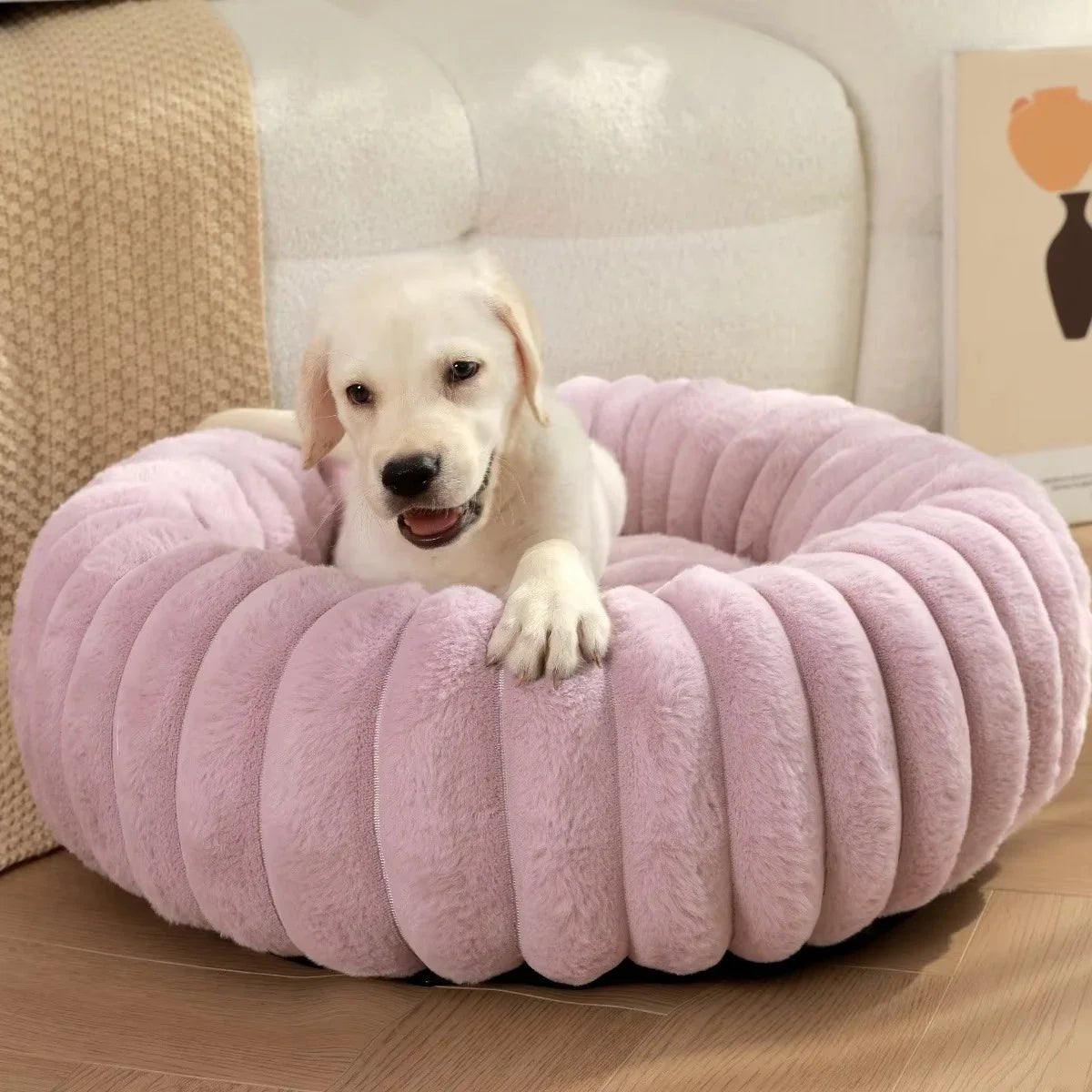 Lit en forme de donut, couleur neutre, sur un sol en bois