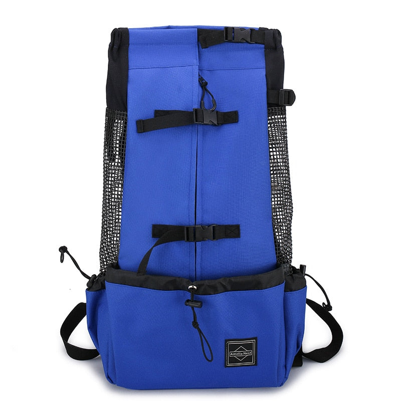 Sac de voyage avec un chien à l'intérieur, prêt pour le voyage