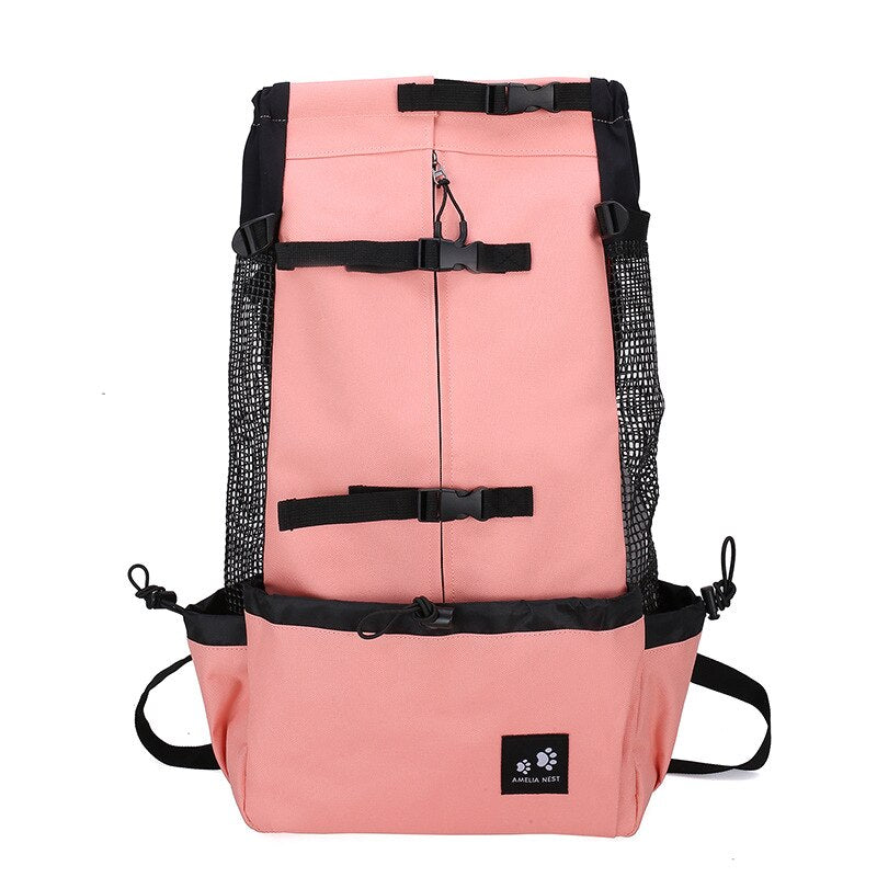 Sac de transport avec un chat à l'intérieur, confortable