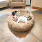 Lit pour chien en velours côtelé avec bord surélevé