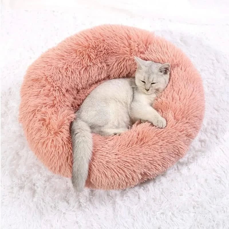 Chien couché sur un lit doux et apaisant