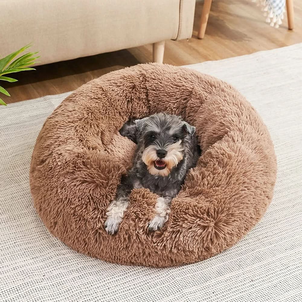 Gros plan sur le tissu doux du lit pour chien
