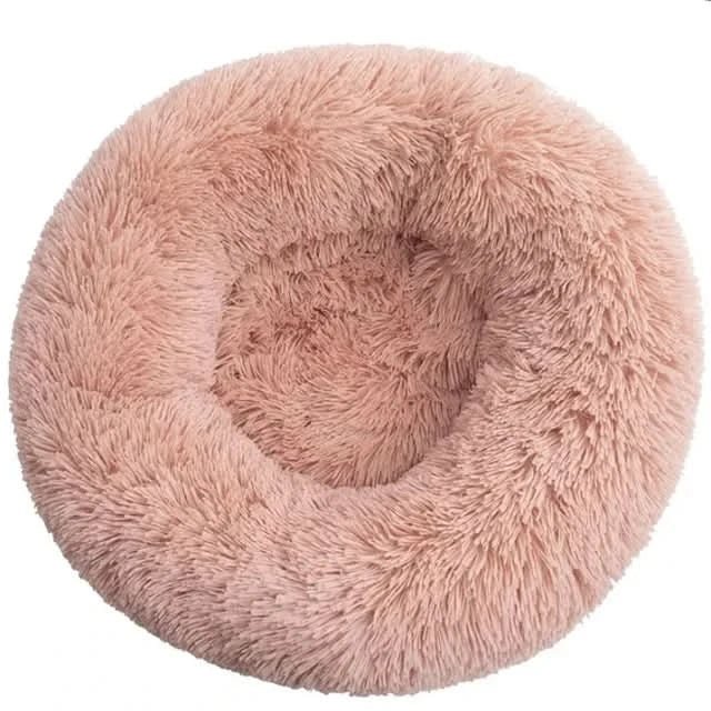 Chien relaxant sur un lit confortable et surélevé