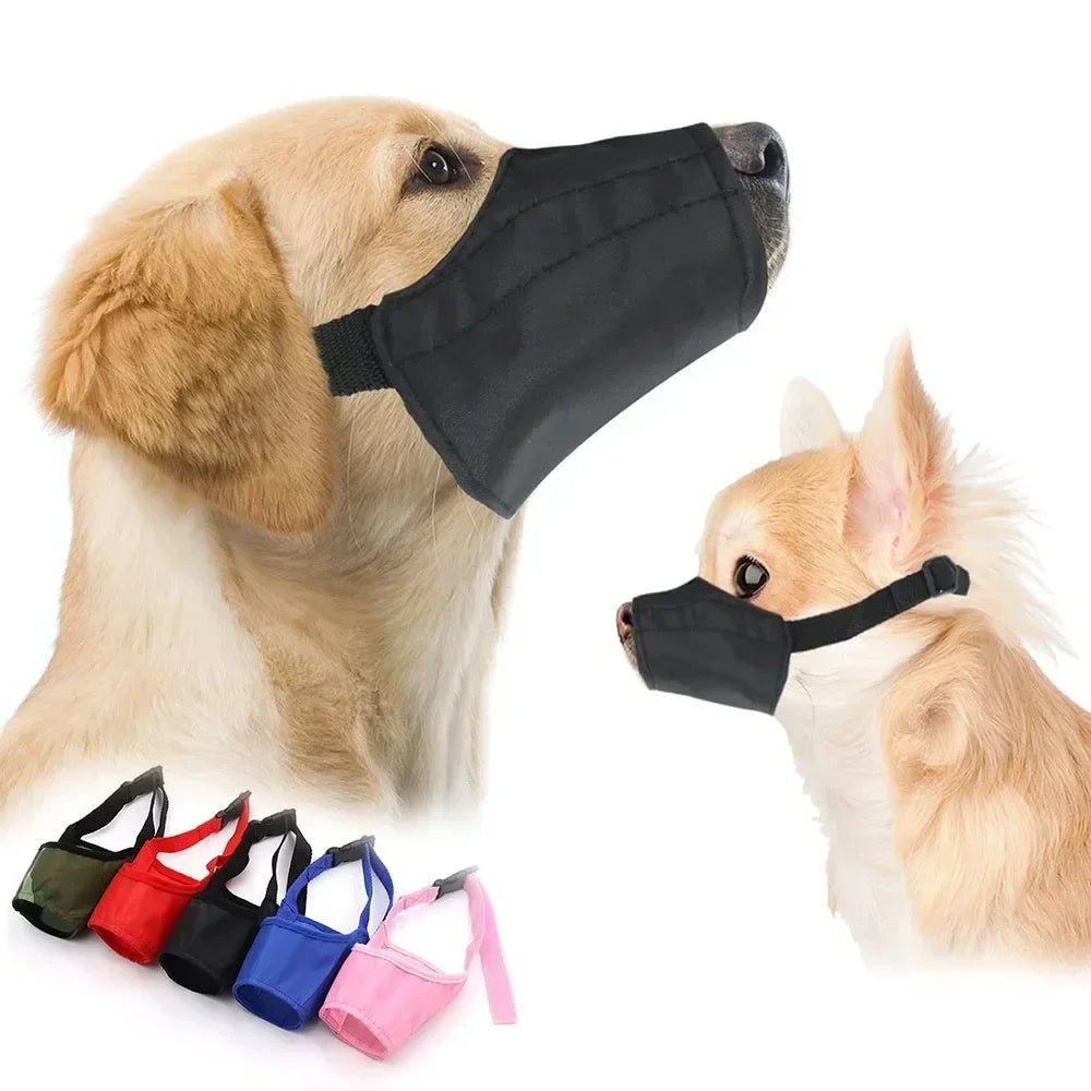 Muselière en nylon doux sur un petit chien blanc