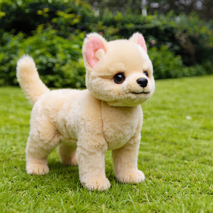 Chiot en peluche sur fond blanc, posture équilibrée