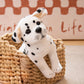 Chiot en peluche posé sur une couverture