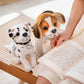Gros plan sur le visage du chiot en peluche