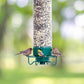 Mangeoire à grande capacité pour plusieurs oiseaux