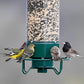 Nourrisseur à oiseaux avec perchoir activé par poids, vue de côté