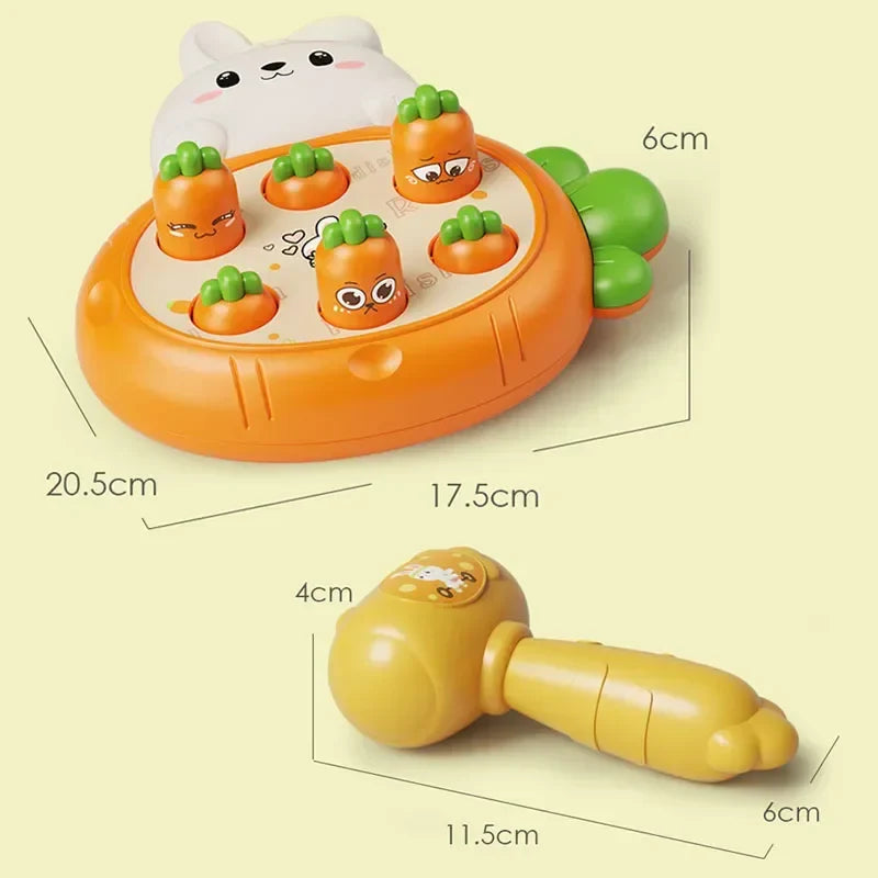 Vue d'ensemble du set de jeu Montessori avec accessoires