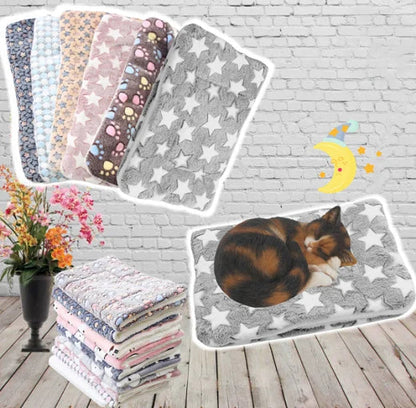 Couverture hypoallergénique étendue, prête à accueillir un chat
