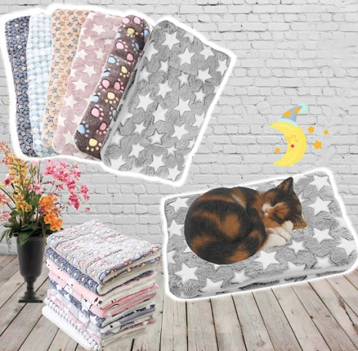 Couverture hypoallergénique étendue, prête à accueillir un chat