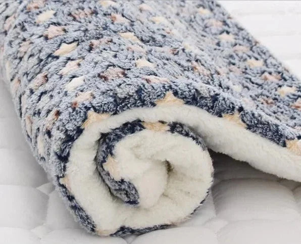 Chat confortablement installé sur une couverture en flanelle douce