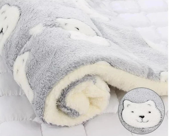 Vue d'ensemble d'une couverture en flanelle, parfaite pour chats