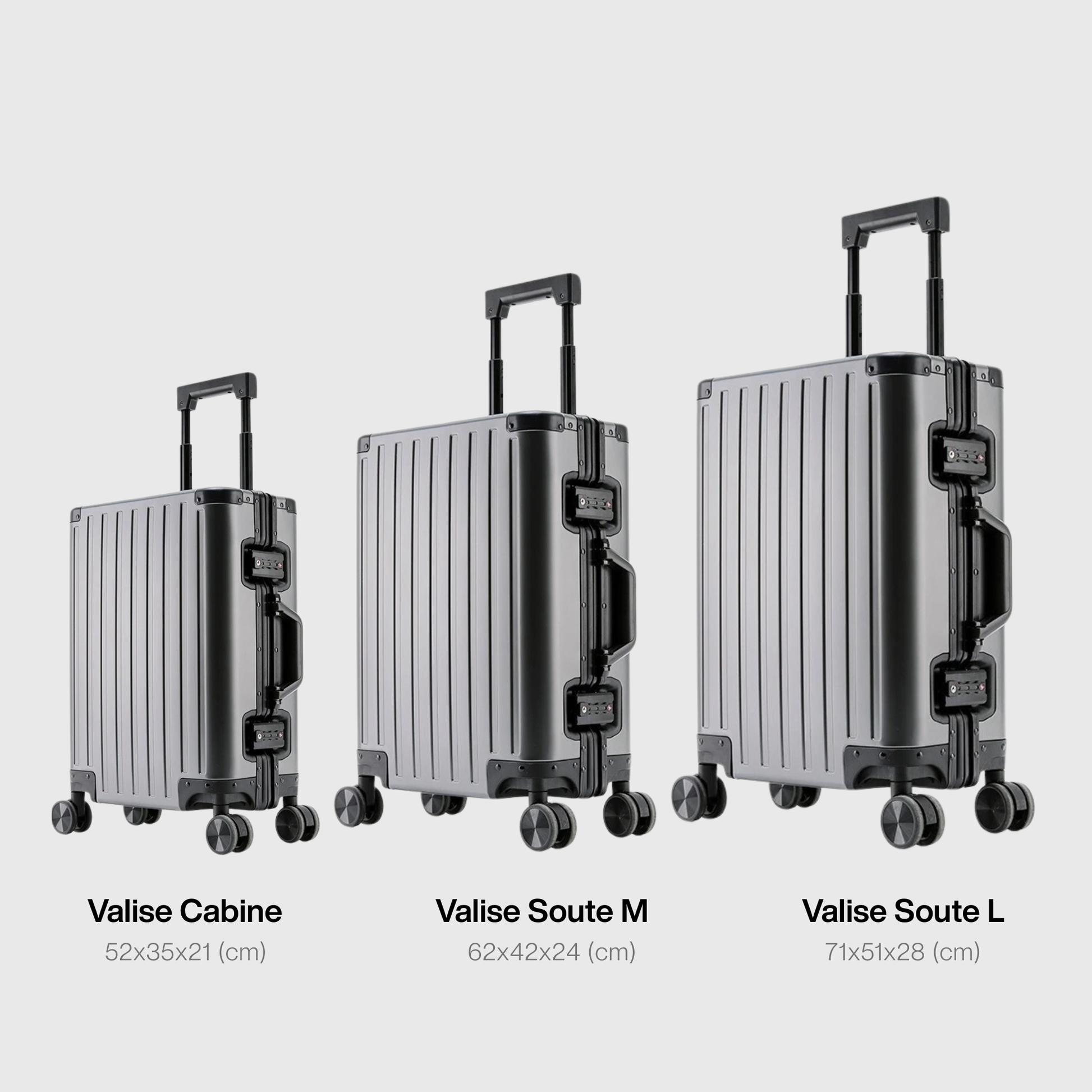 Détail des verrous homologués TSA sur la valise