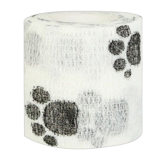Vue d'ensemble des chaussures pour chien sur surface plane