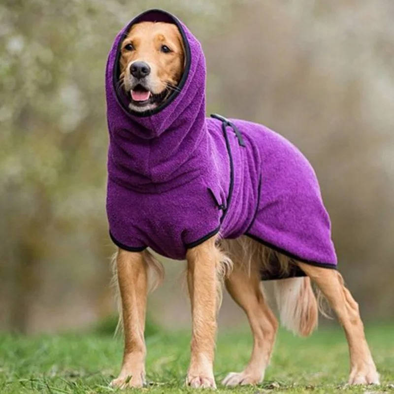 Chien en promenade avec manteau imperméable et coupe-vent