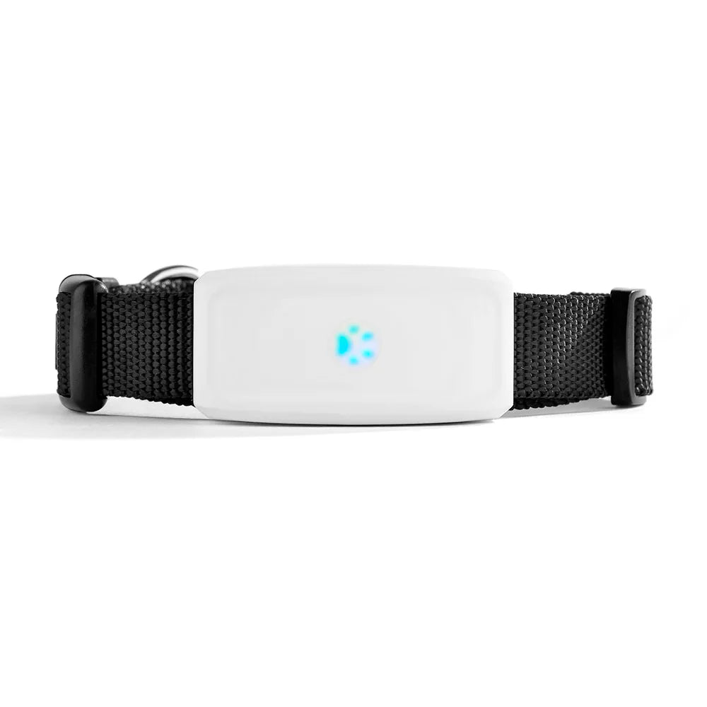 Traceur GPS étanche pour animaux sur collier