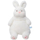 Lapin en peluche emballé sous vide avant ouverture