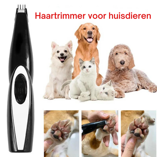Accessoires inclus avec la tondeuse : peigne, brosse et chargeur USB