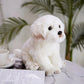 Gros plan sur le visage du jouet en peluche chien