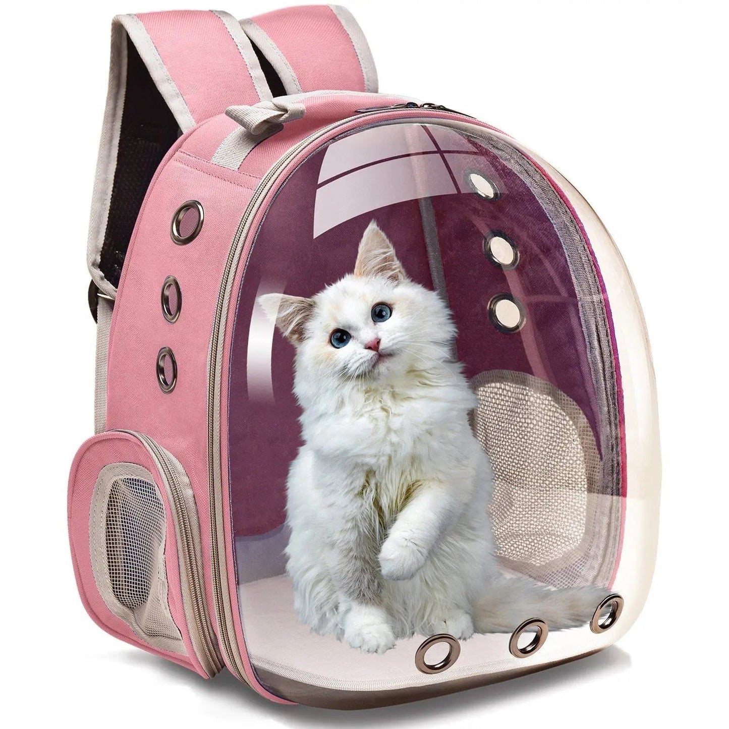 Sac de transport pour chat avec design futuriste et pratique