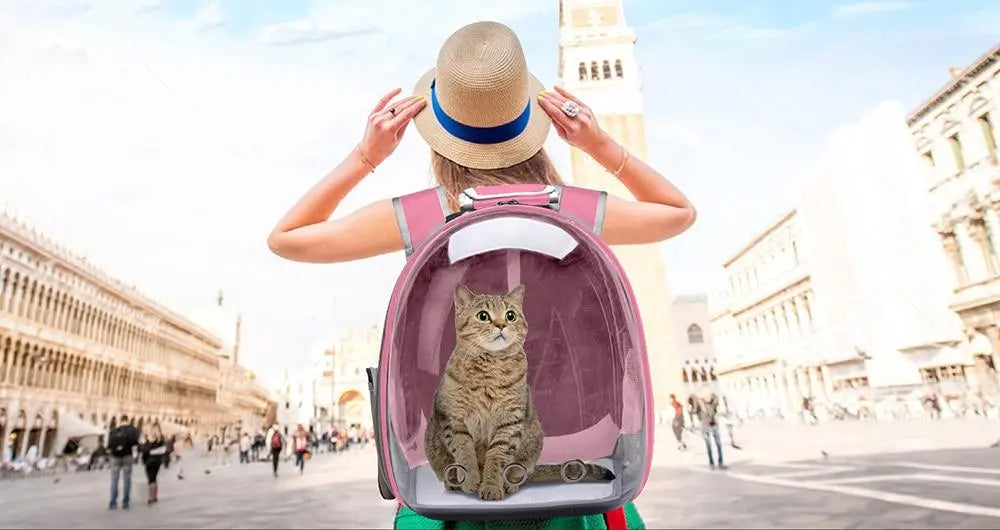 Vue de dessus du sac à dos pour chat en PVC et nylon
