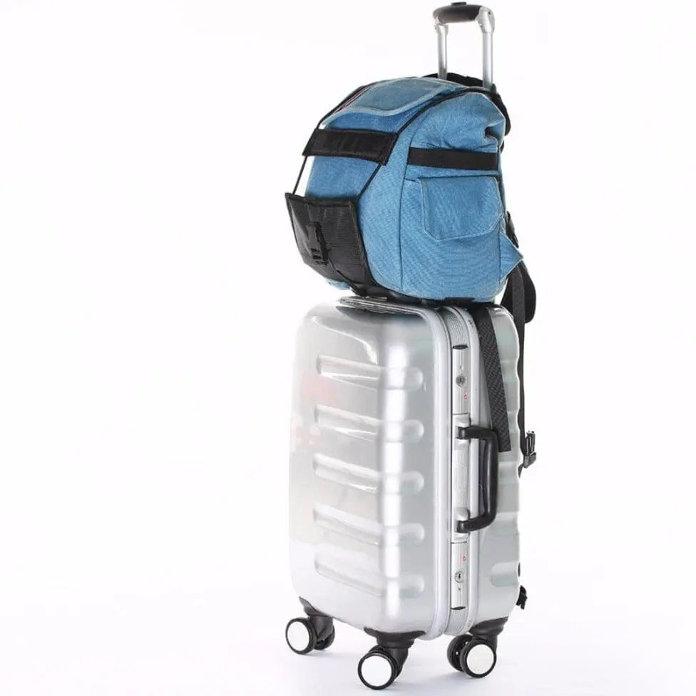 Sangle de bagage en nylon fixée sur une valise